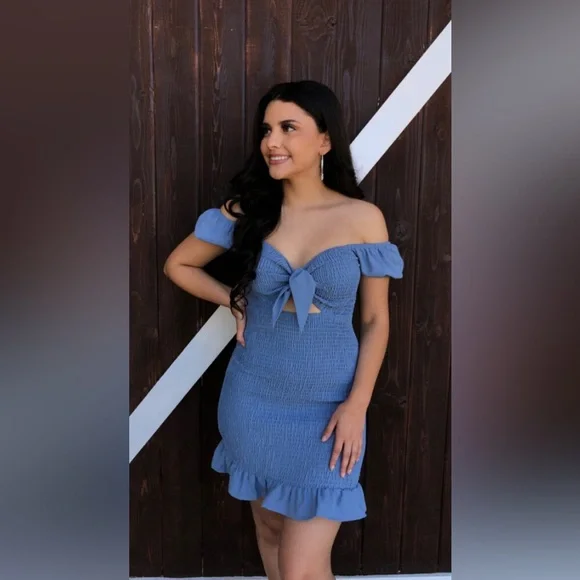 Blush Smocked Tie Knot Mini Dress | NWT - Picture 2 of 11